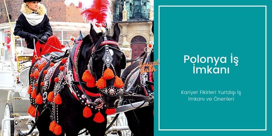 Polonya İş İmkanı Polonya'da Çalışmak